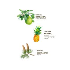 Eyüp Sabri TuncerOkyanus Kolonyası 400 ml - Pet Şişe